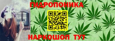 mix Заводоуковск