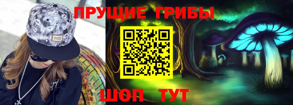 Галлюциногенные грибы мицелий Заводоуковск